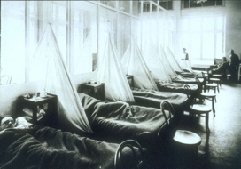 A Look Back: A Pandemic Story Worth Remembering (Blue as Huckleberries and Spitting Blood)